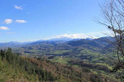 Vista del paraiso natural desde  una torre de oXon3